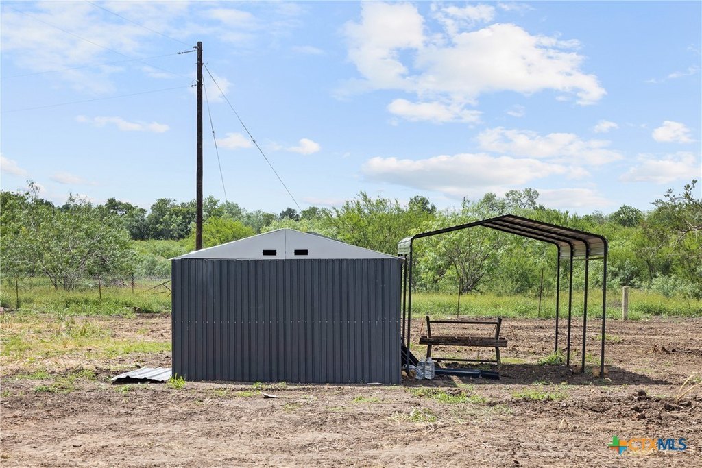 Picture 5
