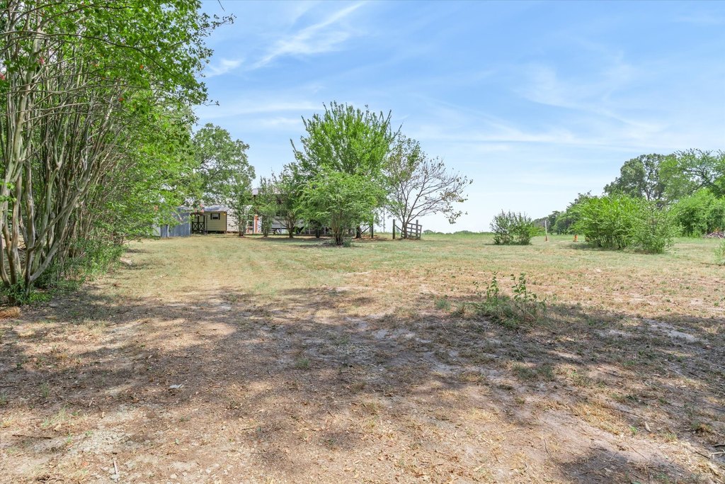 Picture 29