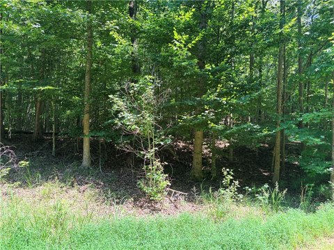 Land, Westminster, SC