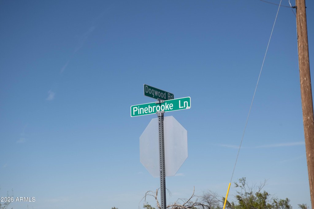 Picture 9