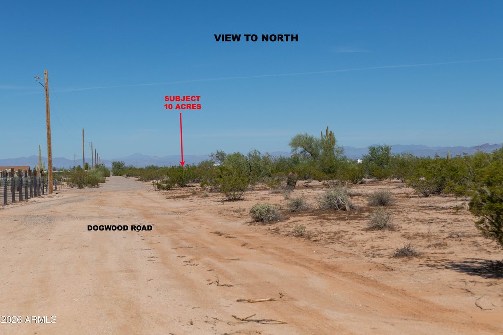 Picture 11