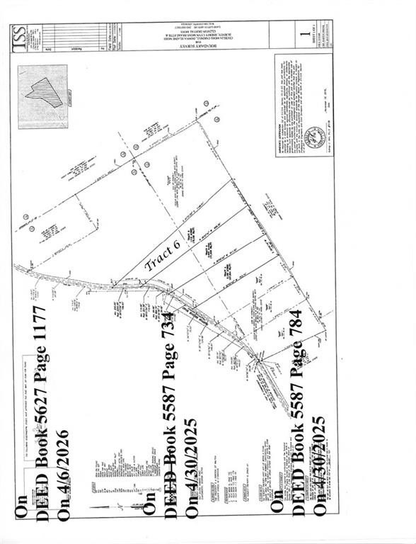 Picture 14