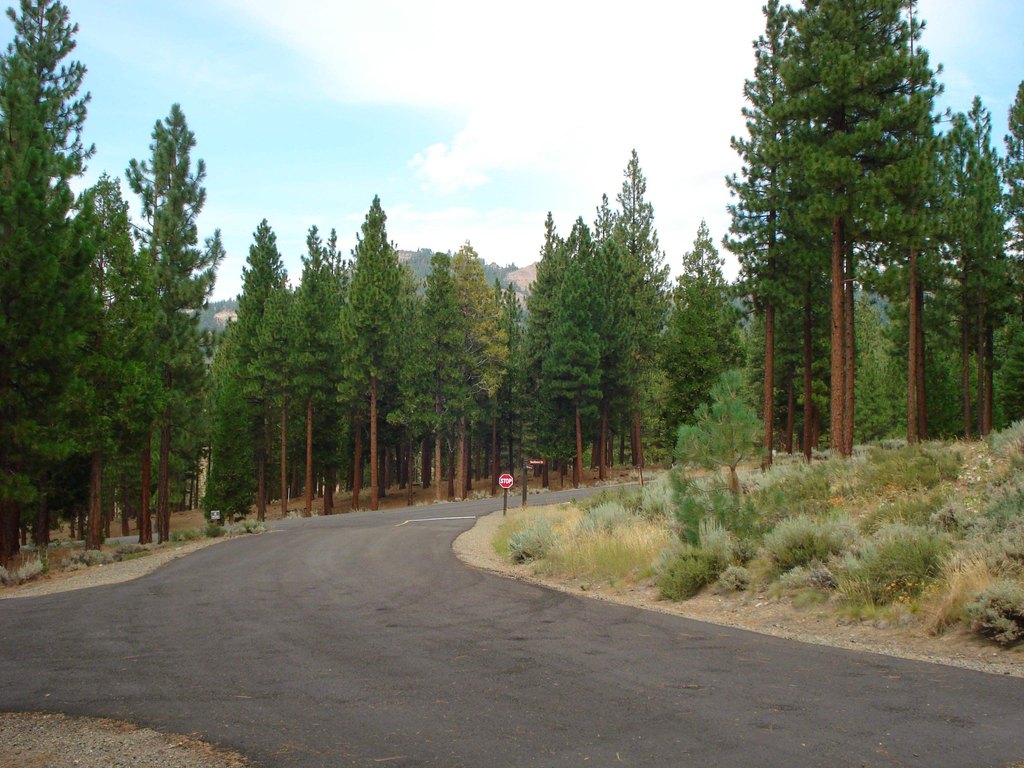 Picture 9