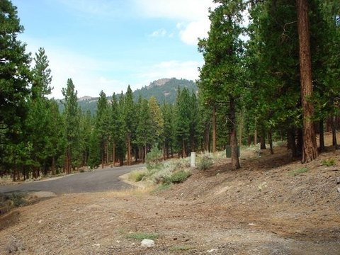Grizzly Ranch Land in Portola