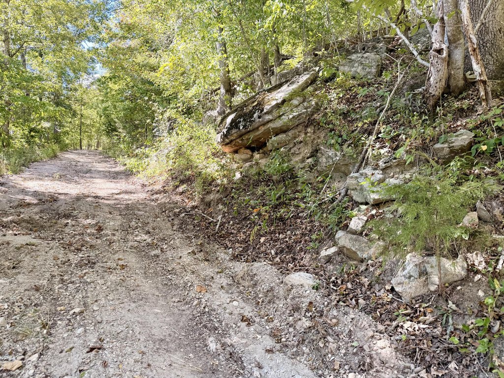 Picture 6