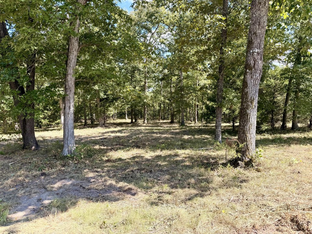 Picture 5