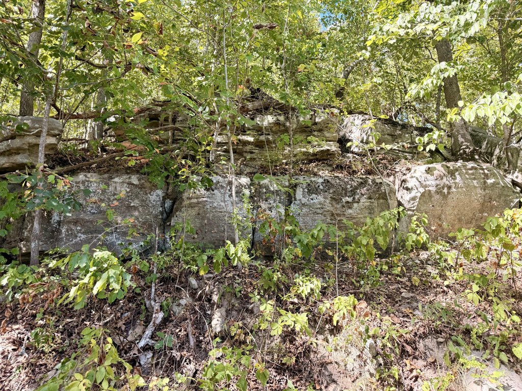 Picture 12