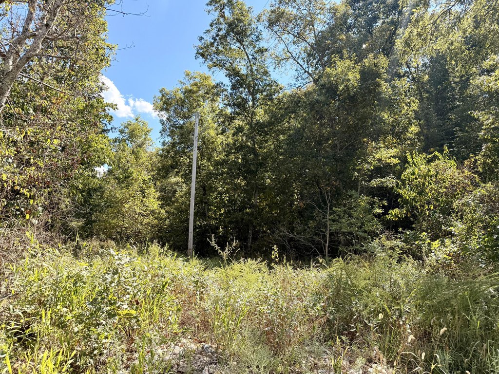 Picture 17