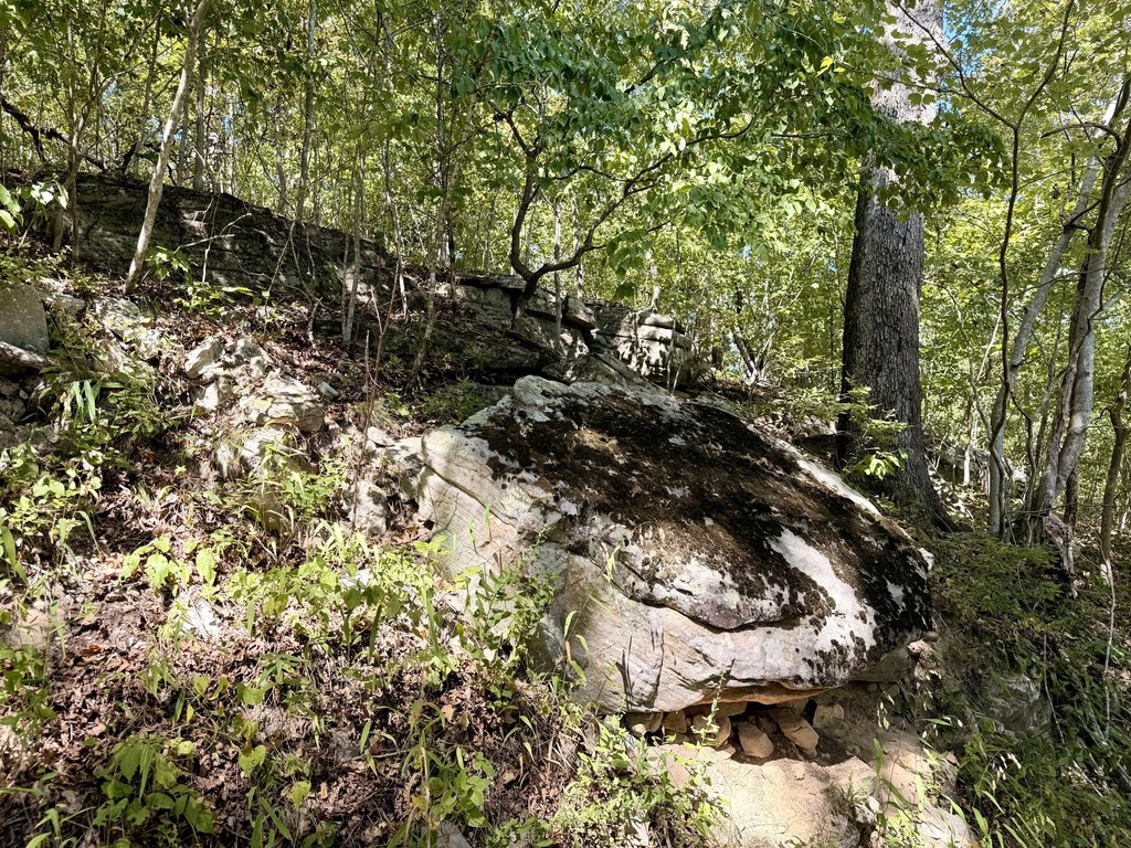 Picture 10