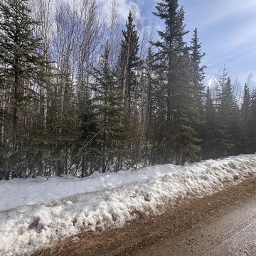 Fairbanks Land with Cabin Potential
