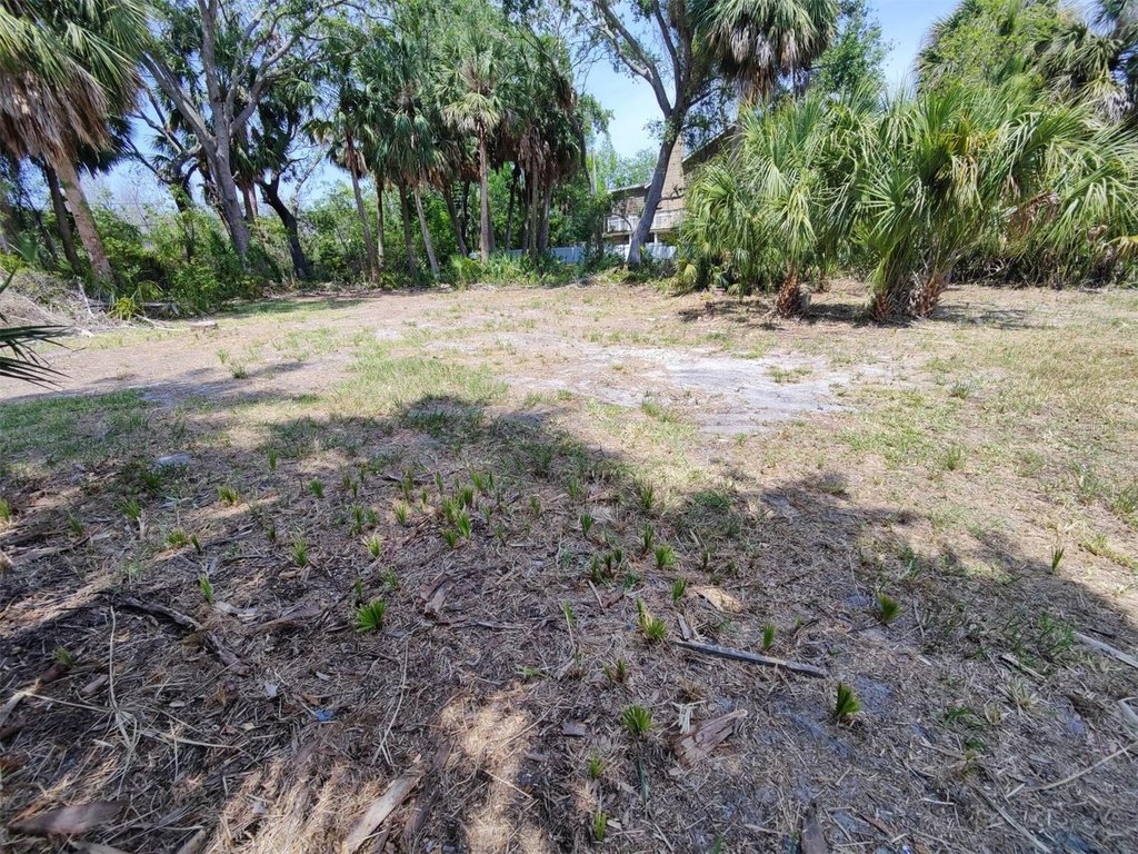 Picture 12