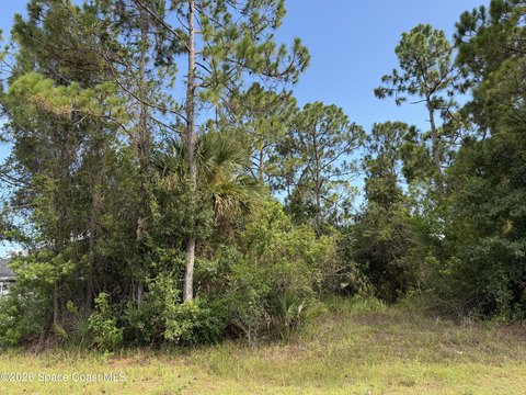 Land, Palm Bay, FL