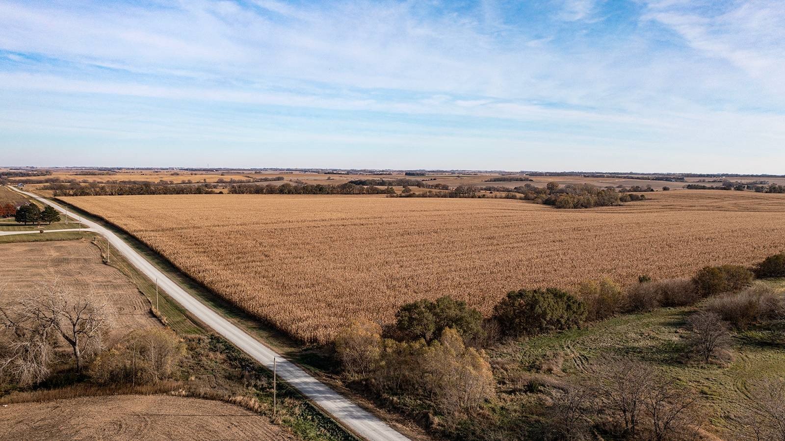Productive Cropland Near Highway 63