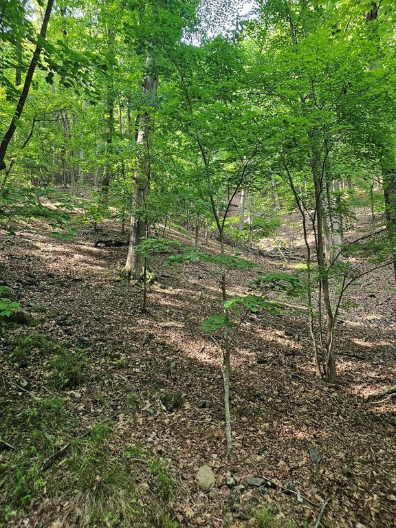 Picture 10