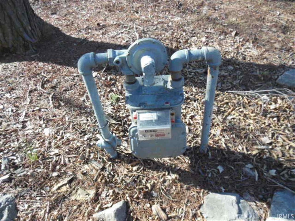 Picture 5