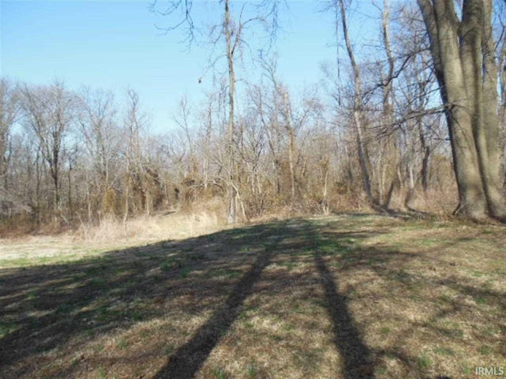 Picture 12