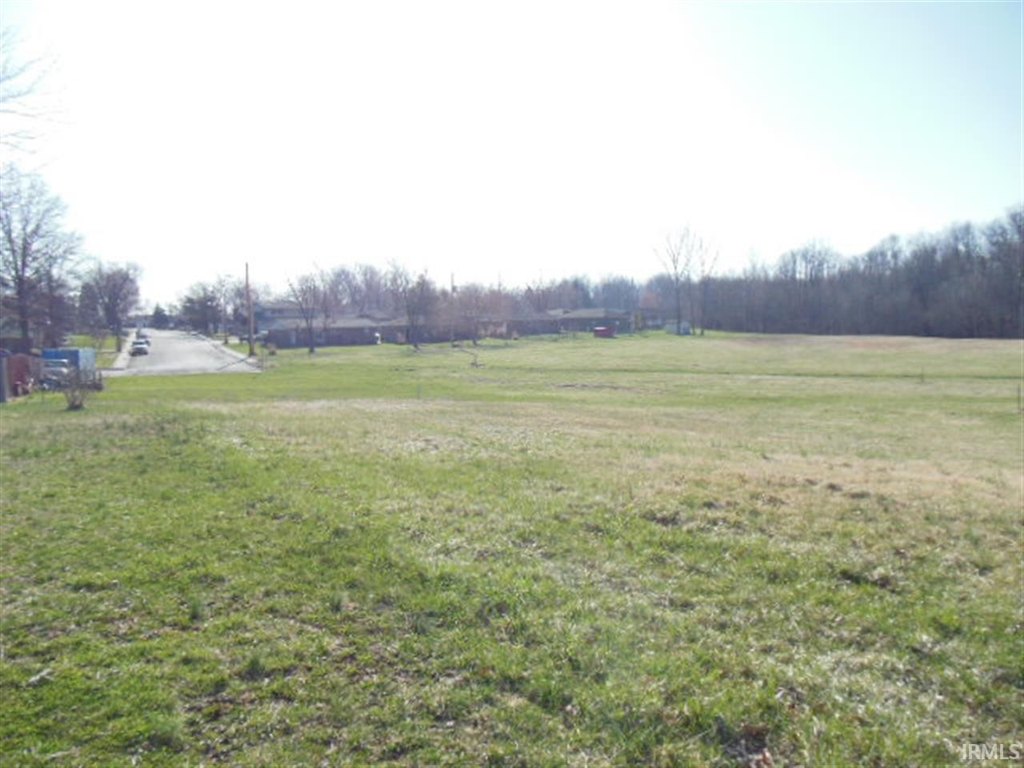 Picture 10