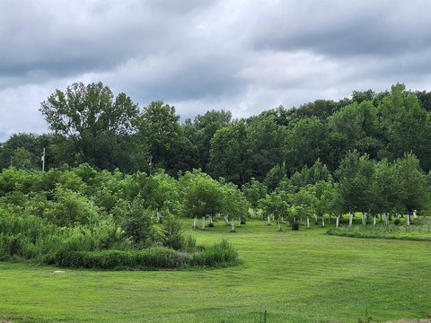 Partially Wooded Agricultural Land