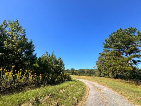 Land, Eldridge, AL