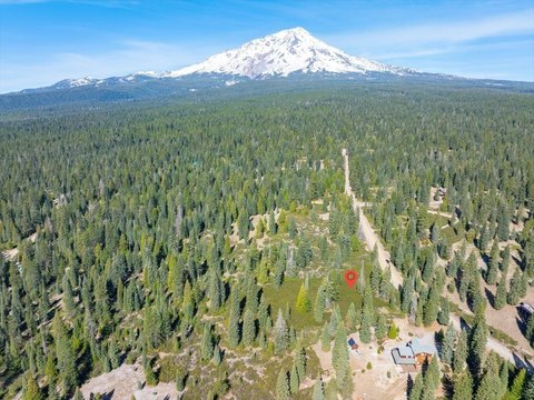 LAND - McCloud, CA