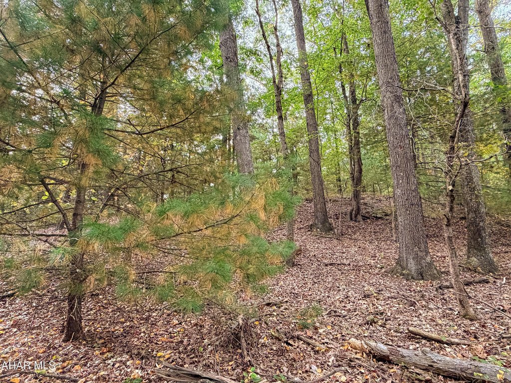 Picture 36