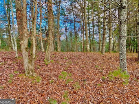 Land in Hawks View, Morganton