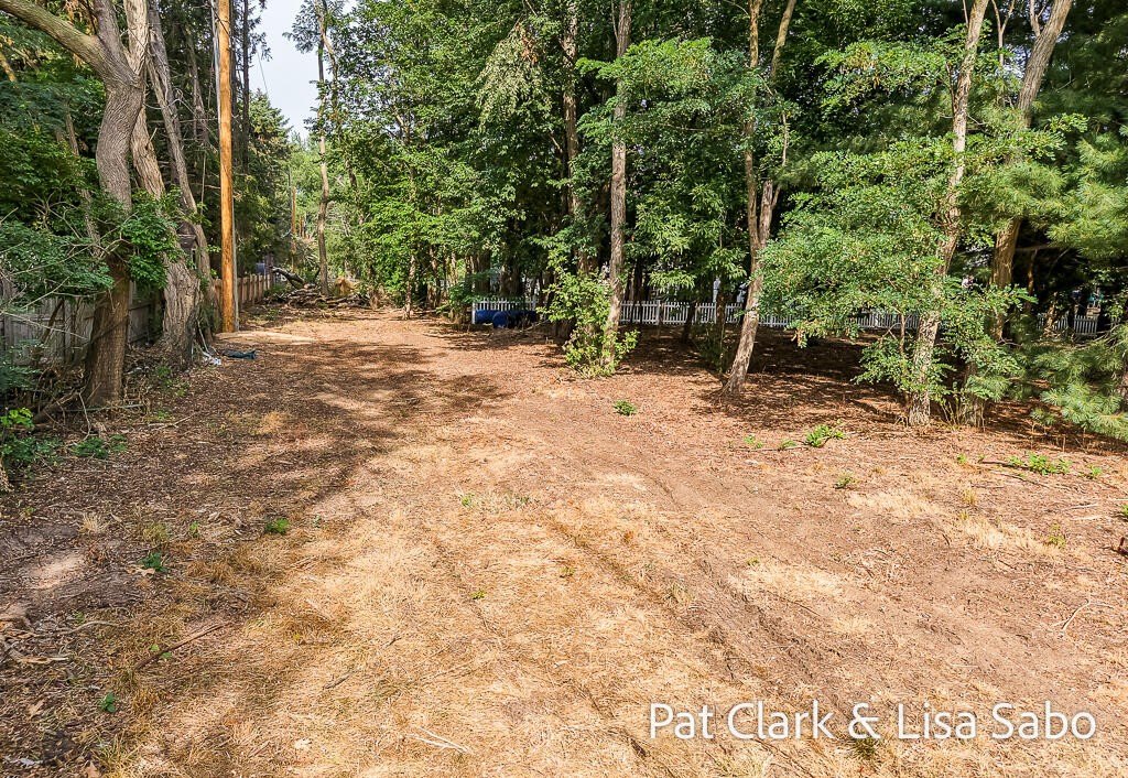 Picture 19