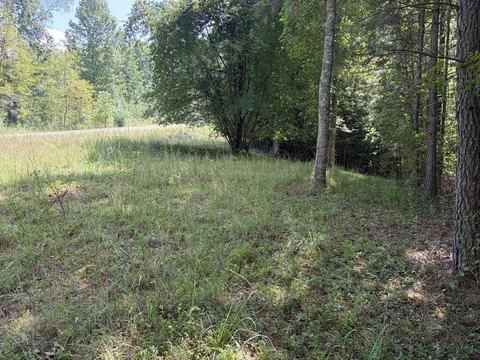 Vacant Lot, Young Harris, GA