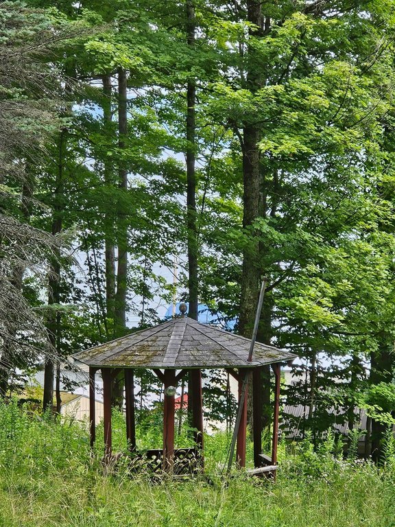 Picture 4