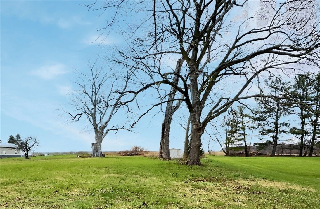 Buildable Lot in Piffard, NY