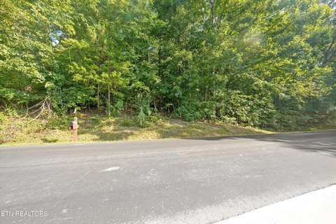 Lots & Acreage, Loudon, TN