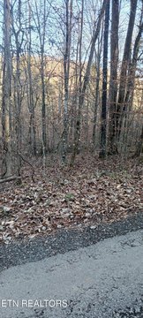 Wooded Lot Near Norris Lake