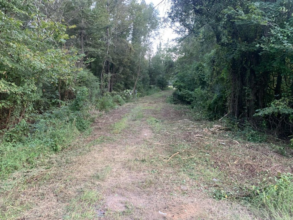 Picture 22