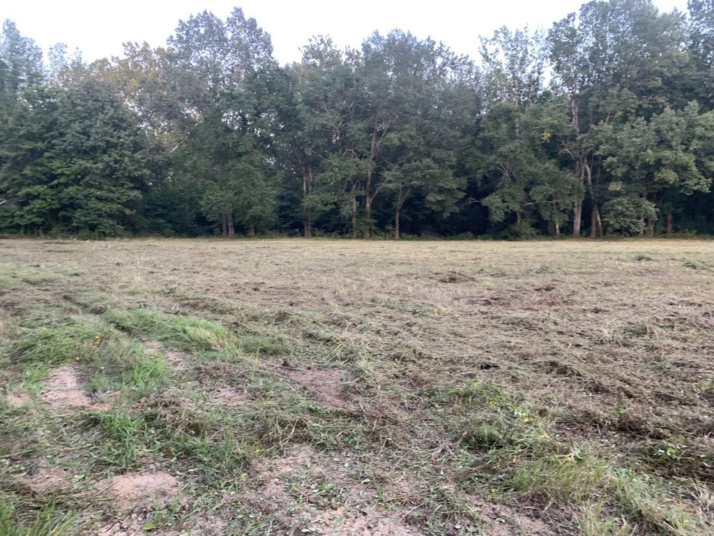 Picture 25
