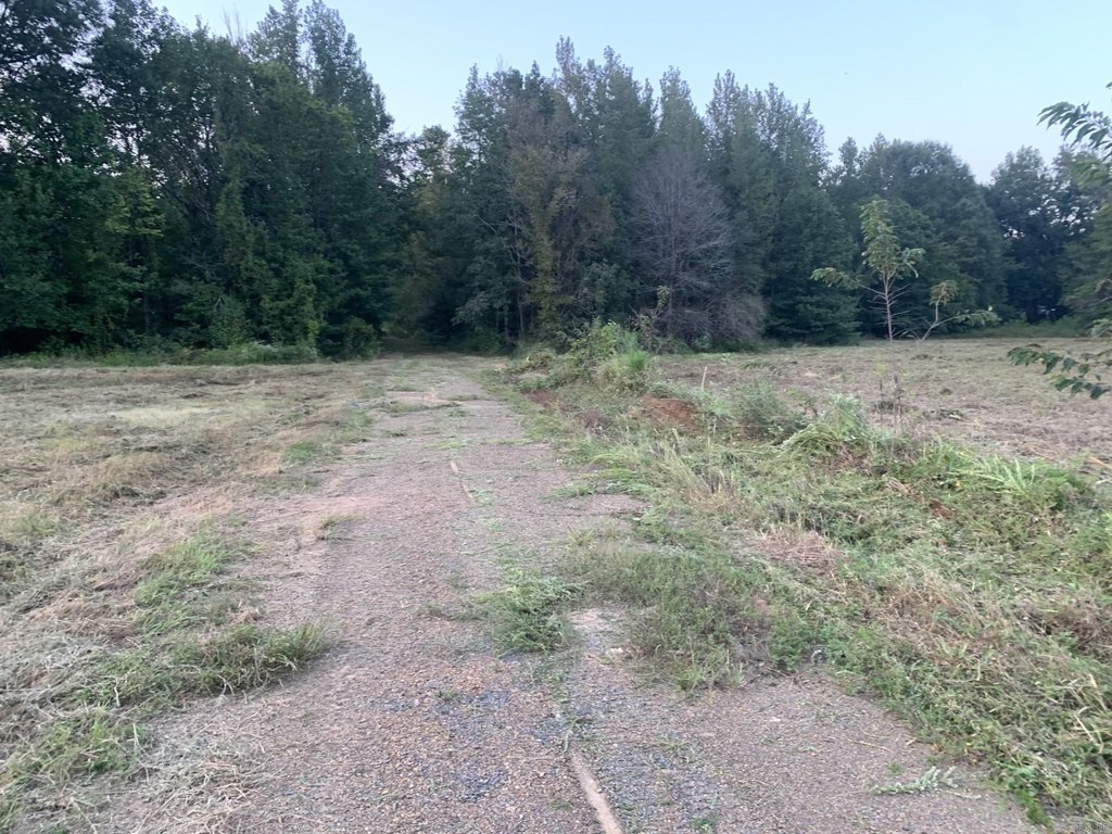 Picture 20