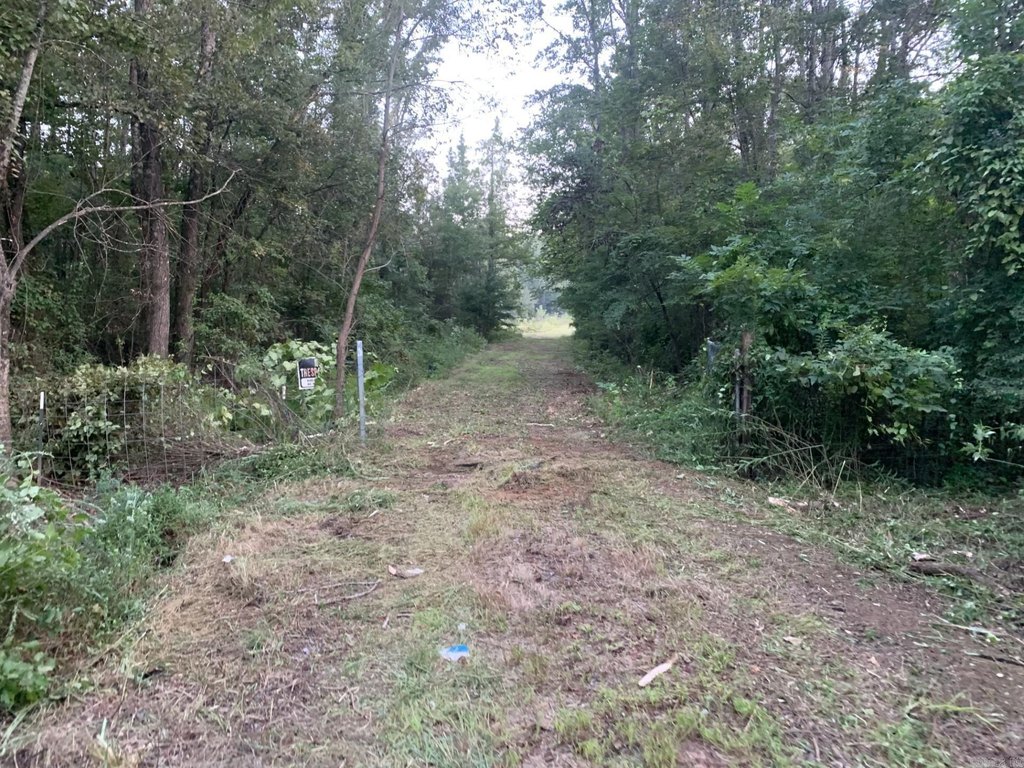 Picture 23