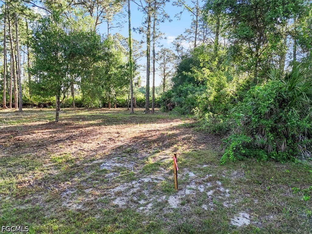 Picture 25