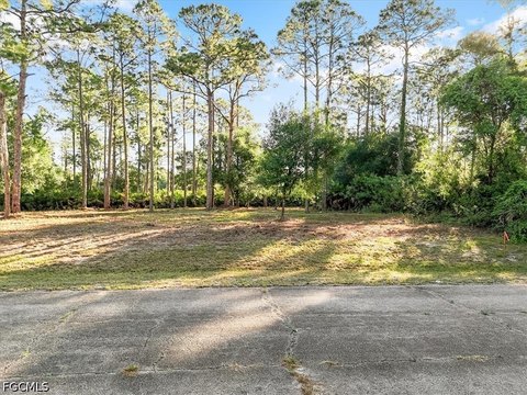 LAND - Labelle, FL
