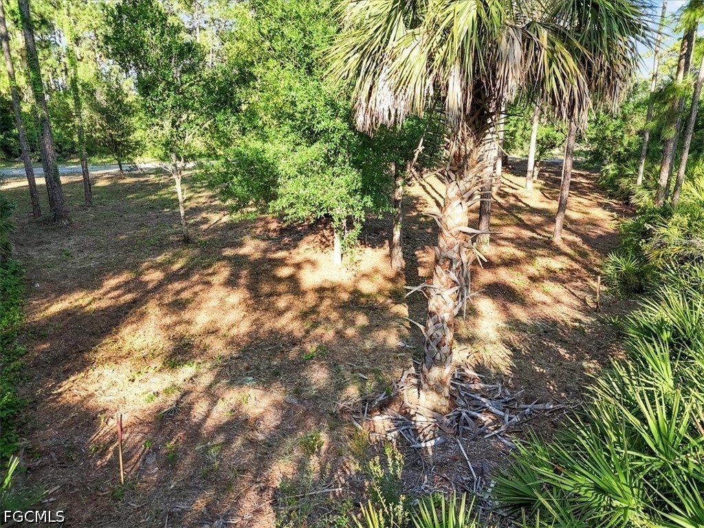 Picture 20