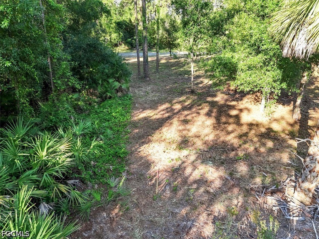 Picture 19