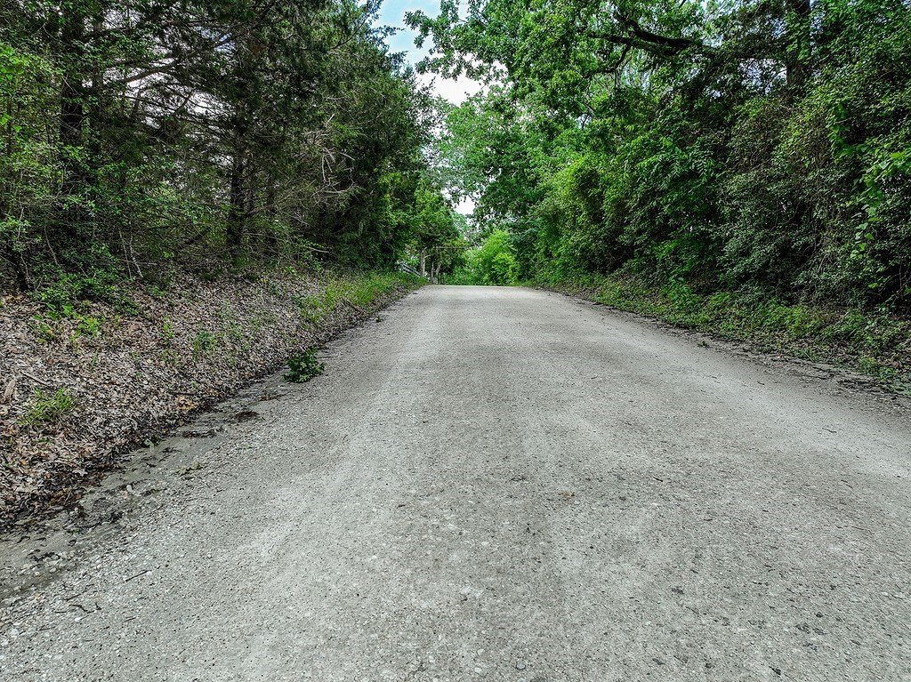 Picture 21