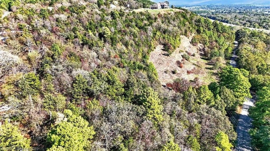 Picture 17