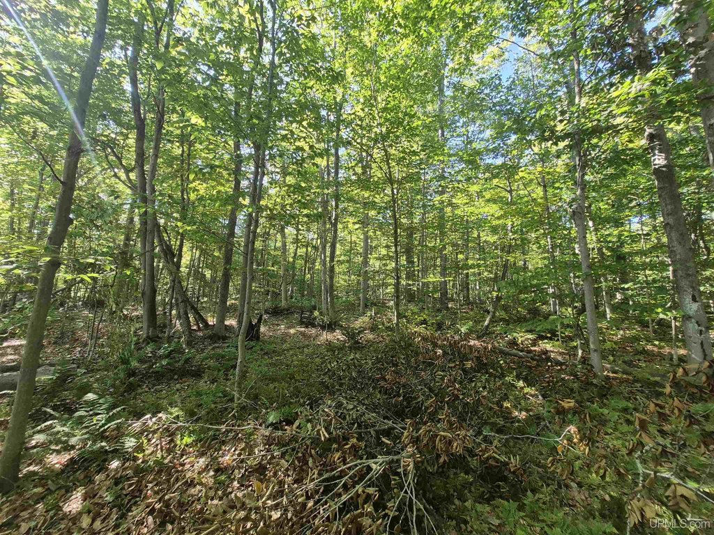 Picture 20