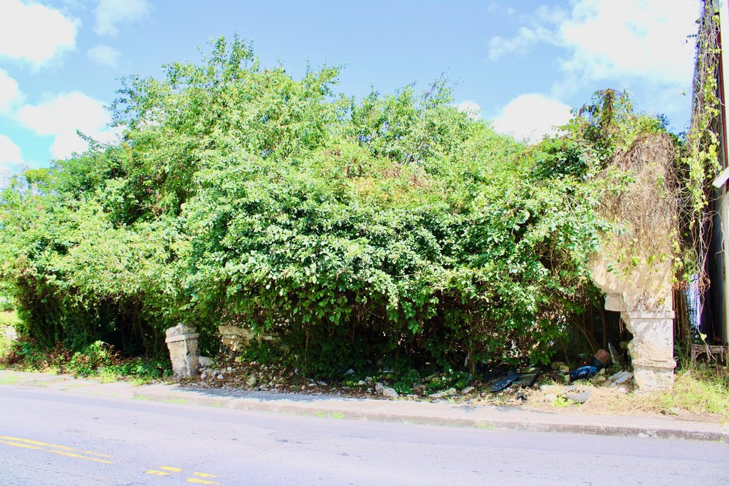 Picture 6