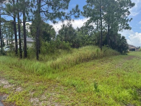 Land & Docks, Palm Bay, FL