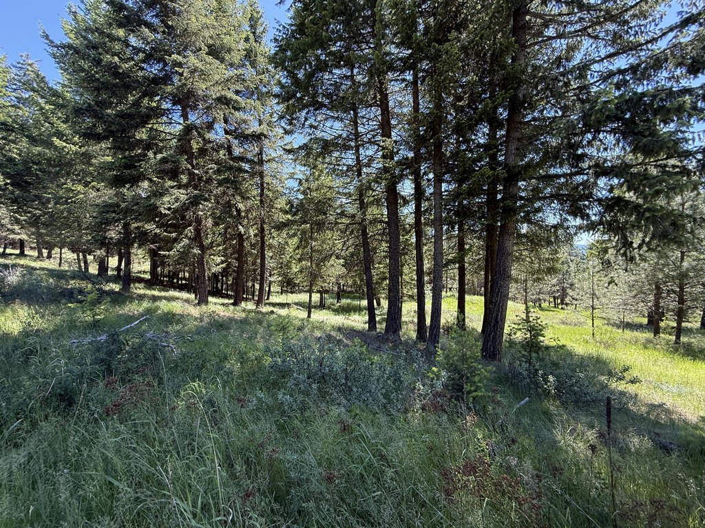 Picture 19