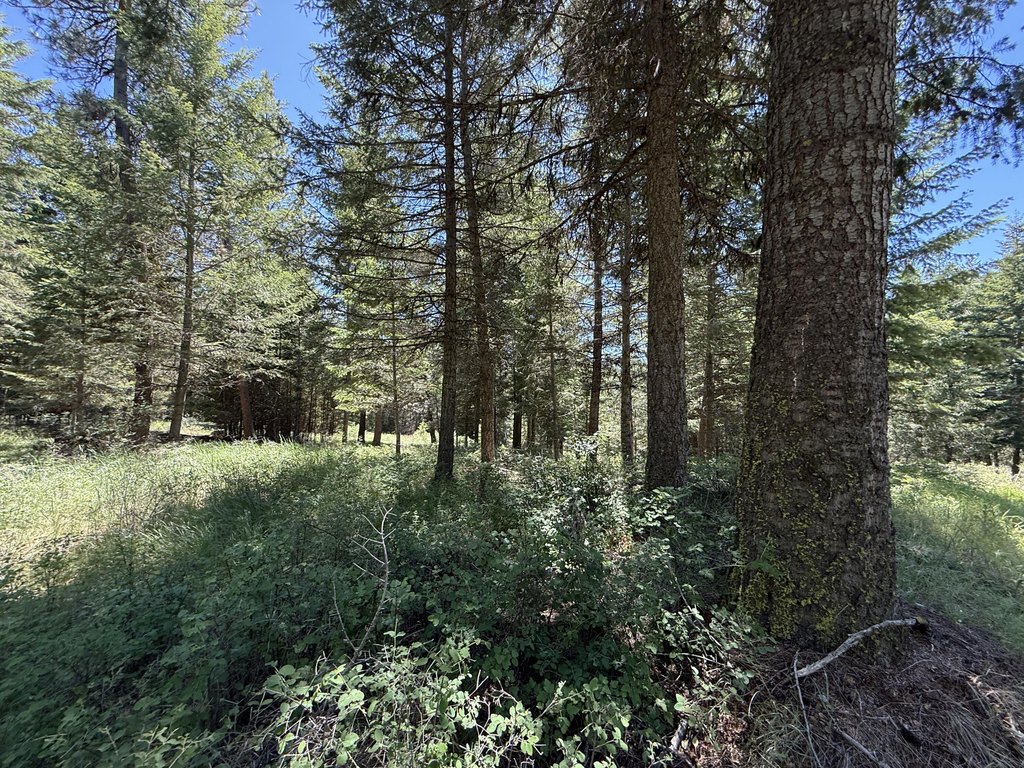 Picture 22