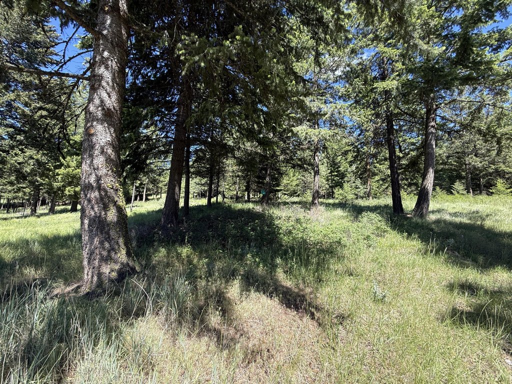 Picture 17