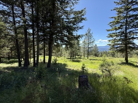 LAND - REPUBLIC, WA