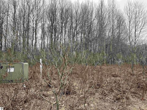 Wooded Lot for Dream Home